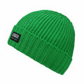 Horsefeathers Penn atrip beanie (2 colours ways)
