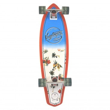 Kryptonics Maui Pattern Cruiser Skateboard