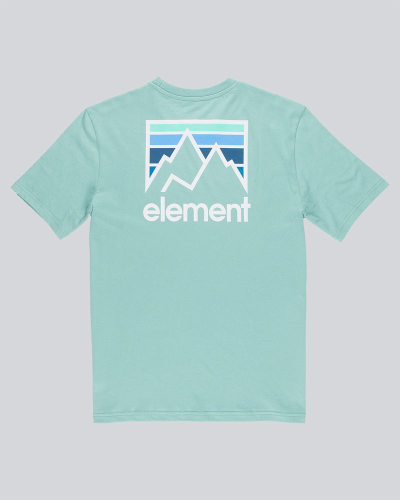 Element JOINT BACKPRINT T-SHIRT